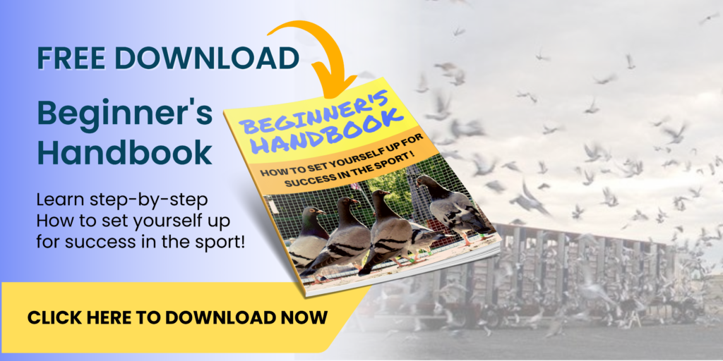 Free Download Beginner's Handbook to Pigeon Racing